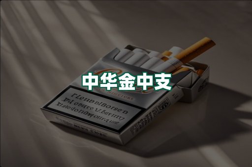 中华金中支